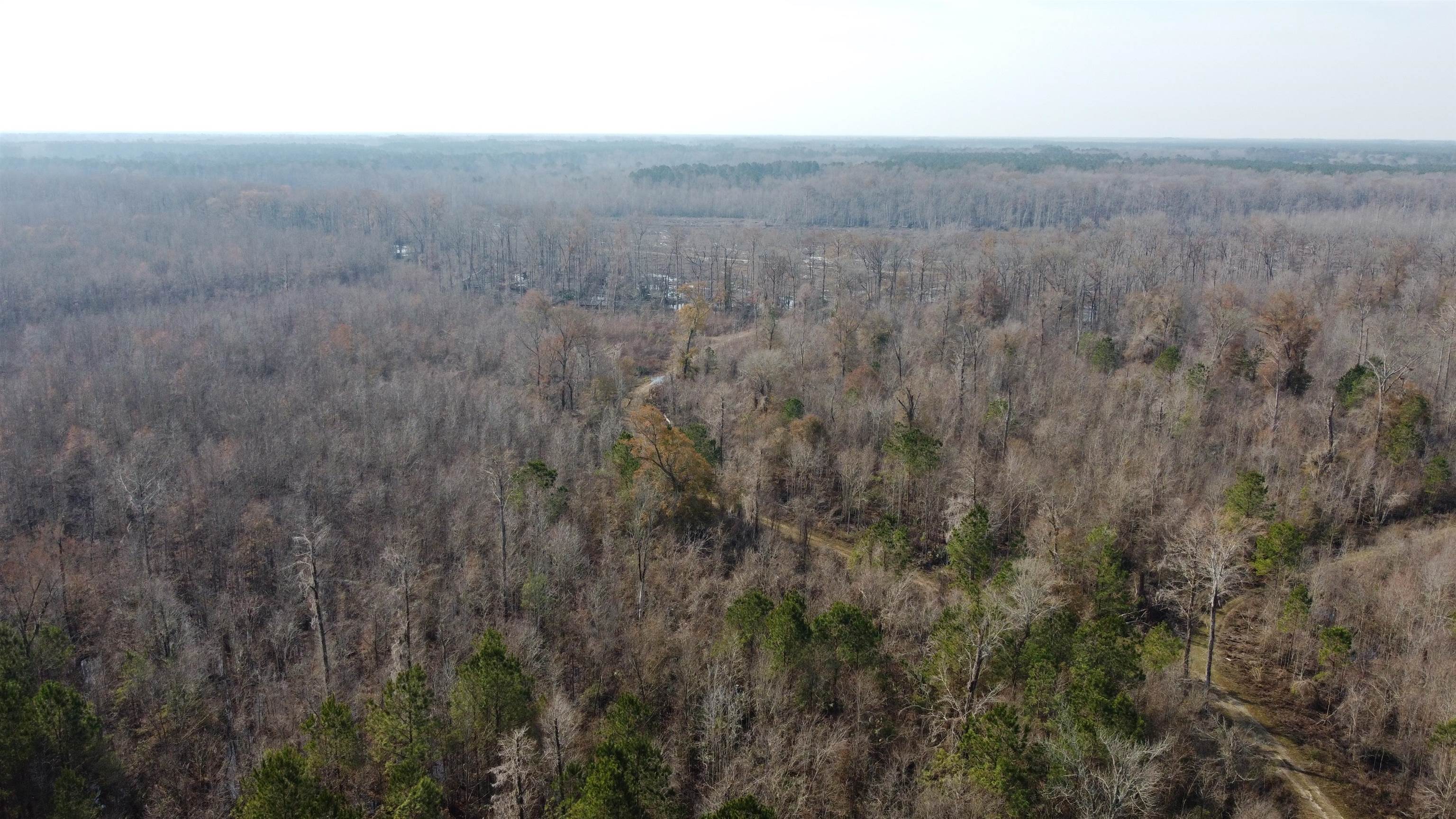 Tbd Tbd Hunters Chapel Road Smoaks, SC 29481 - Photo 13 of 59