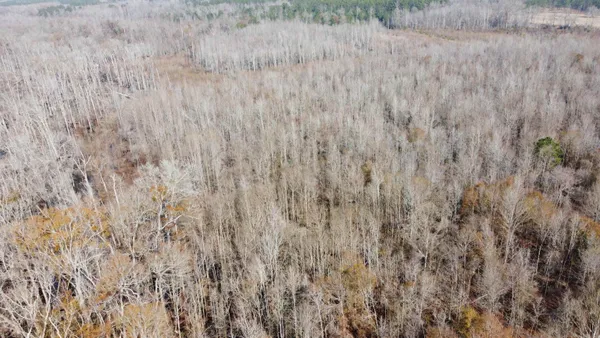 $1,795,000 | Tbd Tbd Hunters Chapel Road, Smoaks, SC 29481
