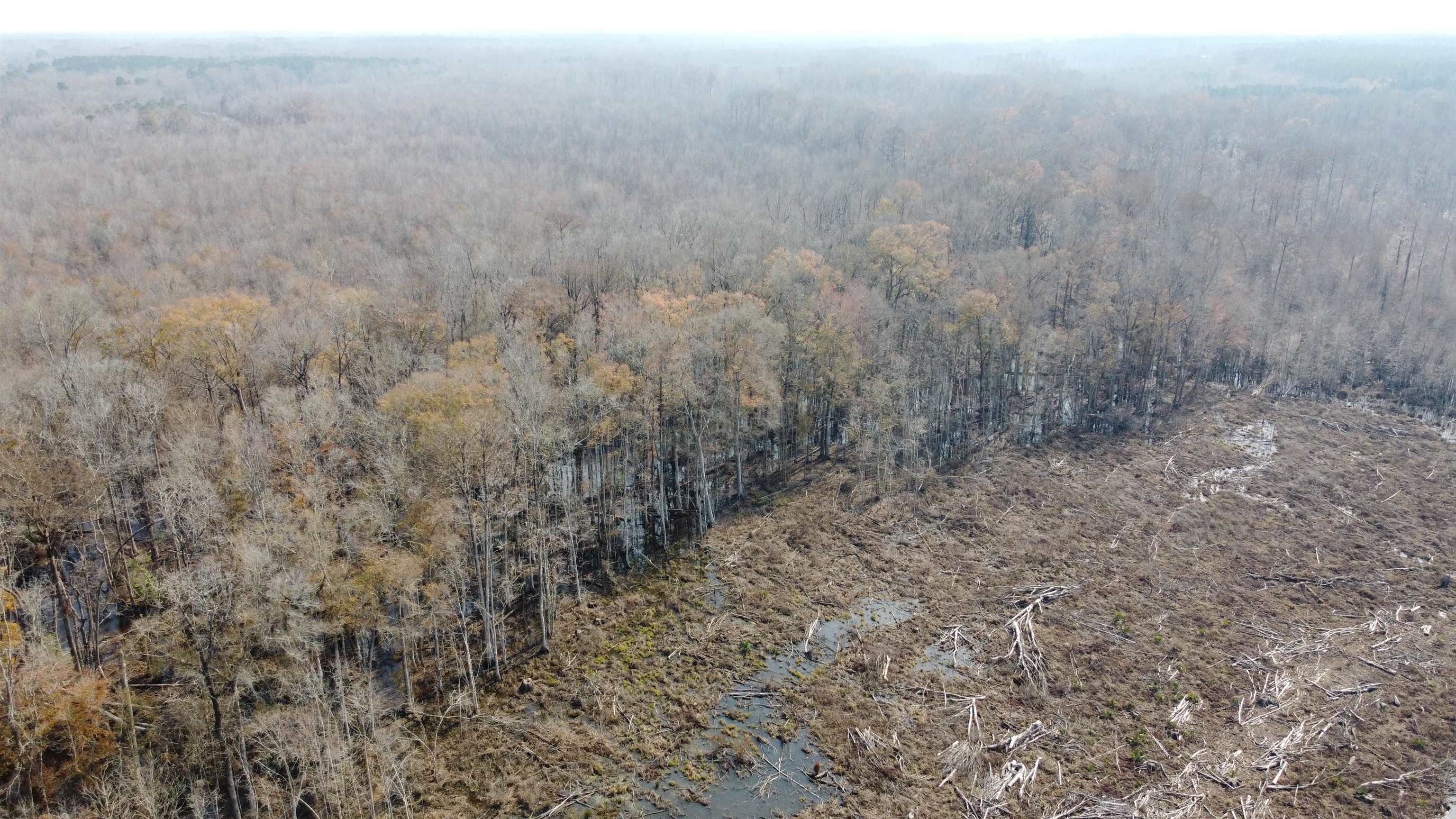 Tbd Tbd Hunters Chapel Road Smoaks, SC 29481 - Photo 15 of 59