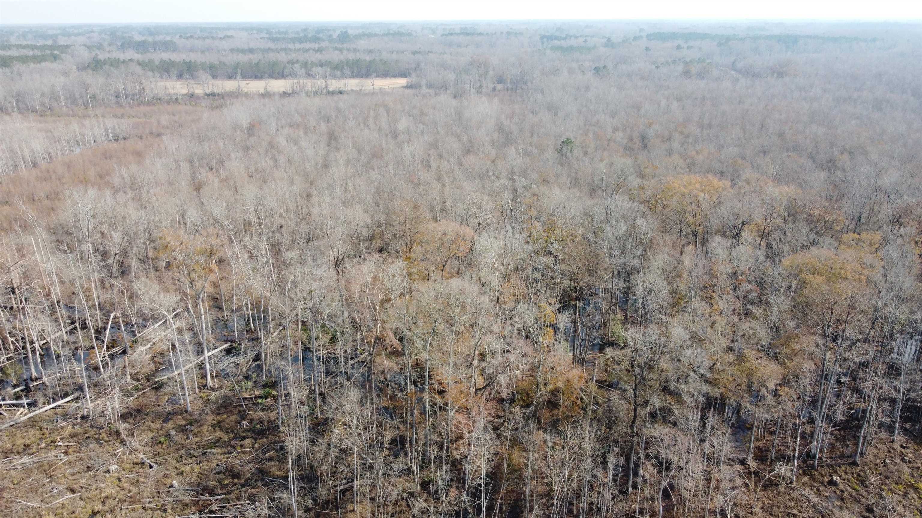 Tbd Tbd Hunters Chapel Road Smoaks, SC 29481 - Photo 16 of 59