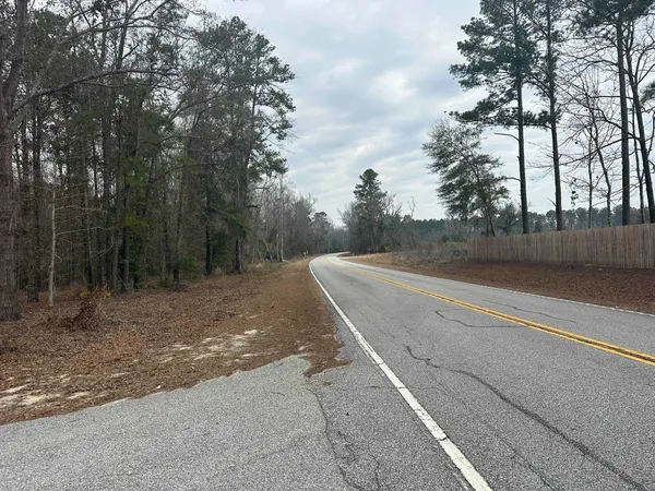 $1,795,000 | Tbd Tbd Hunters Chapel Road, Smoaks, SC 29481
