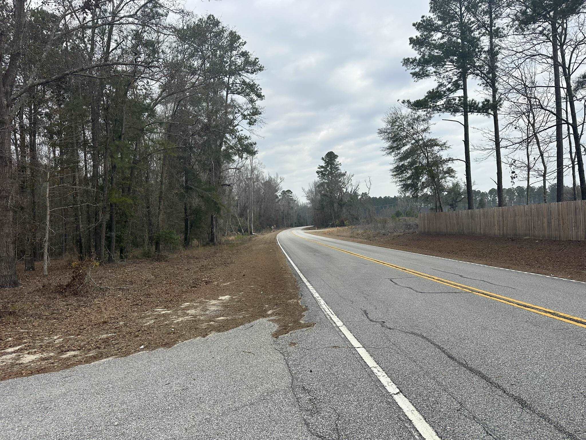 Tbd Tbd Hunters Chapel Road Smoaks, SC 29481 - Photo 19 of 59