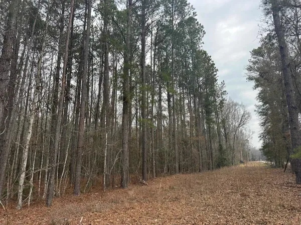 $1,795,000 | Tbd Tbd Hunters Chapel Road, Smoaks, SC 29481