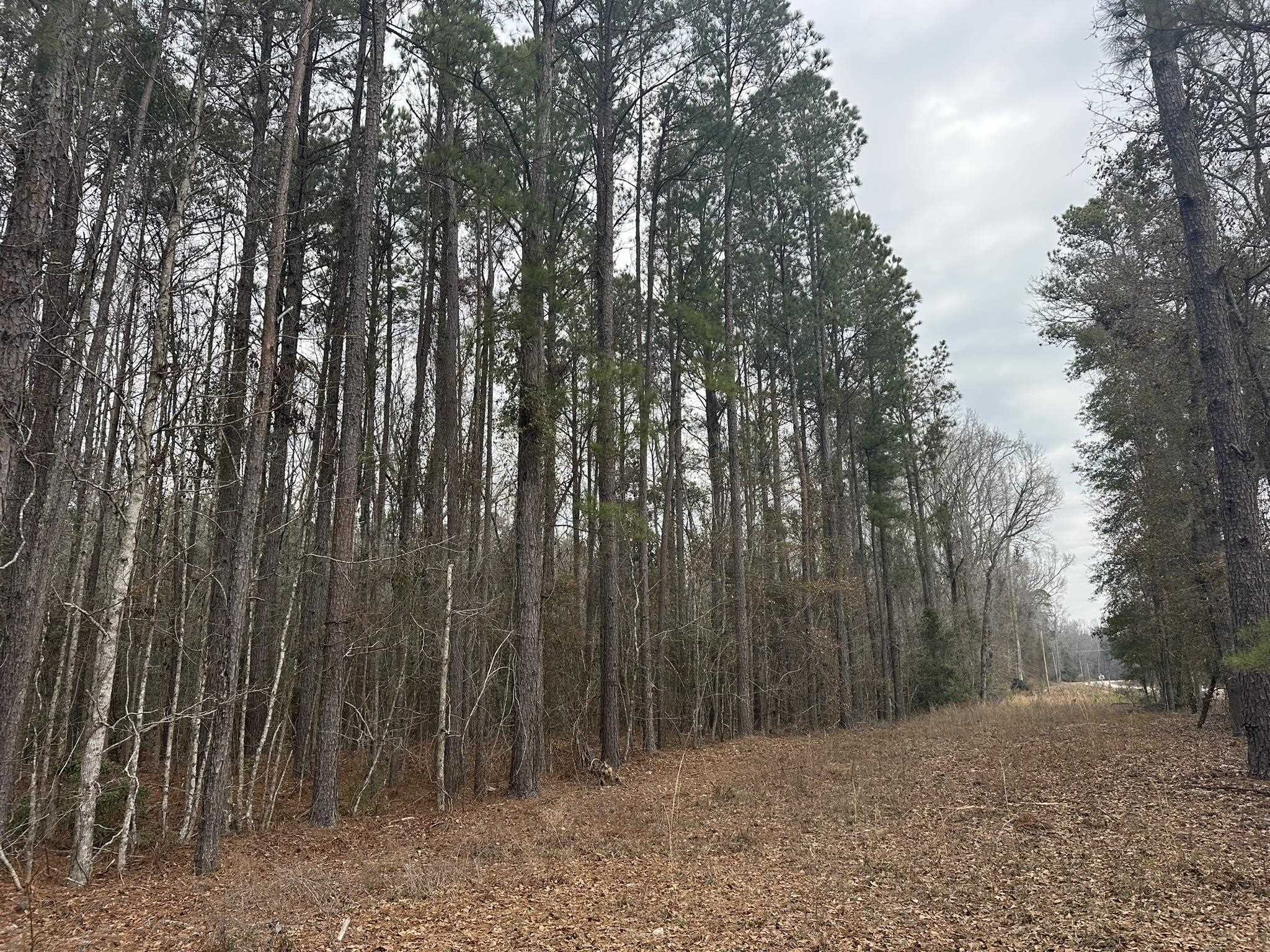 Tbd Tbd Hunters Chapel Road Smoaks, SC 29481 - Photo 21 of 59