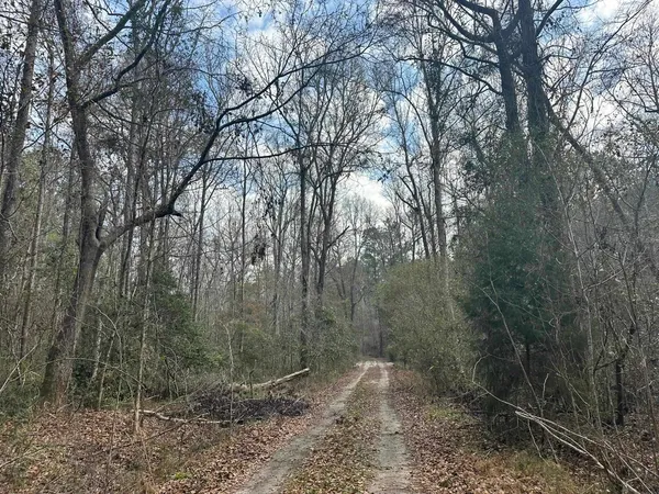 $1,795,000 | Tbd Tbd Hunters Chapel Road, Smoaks, SC 29481