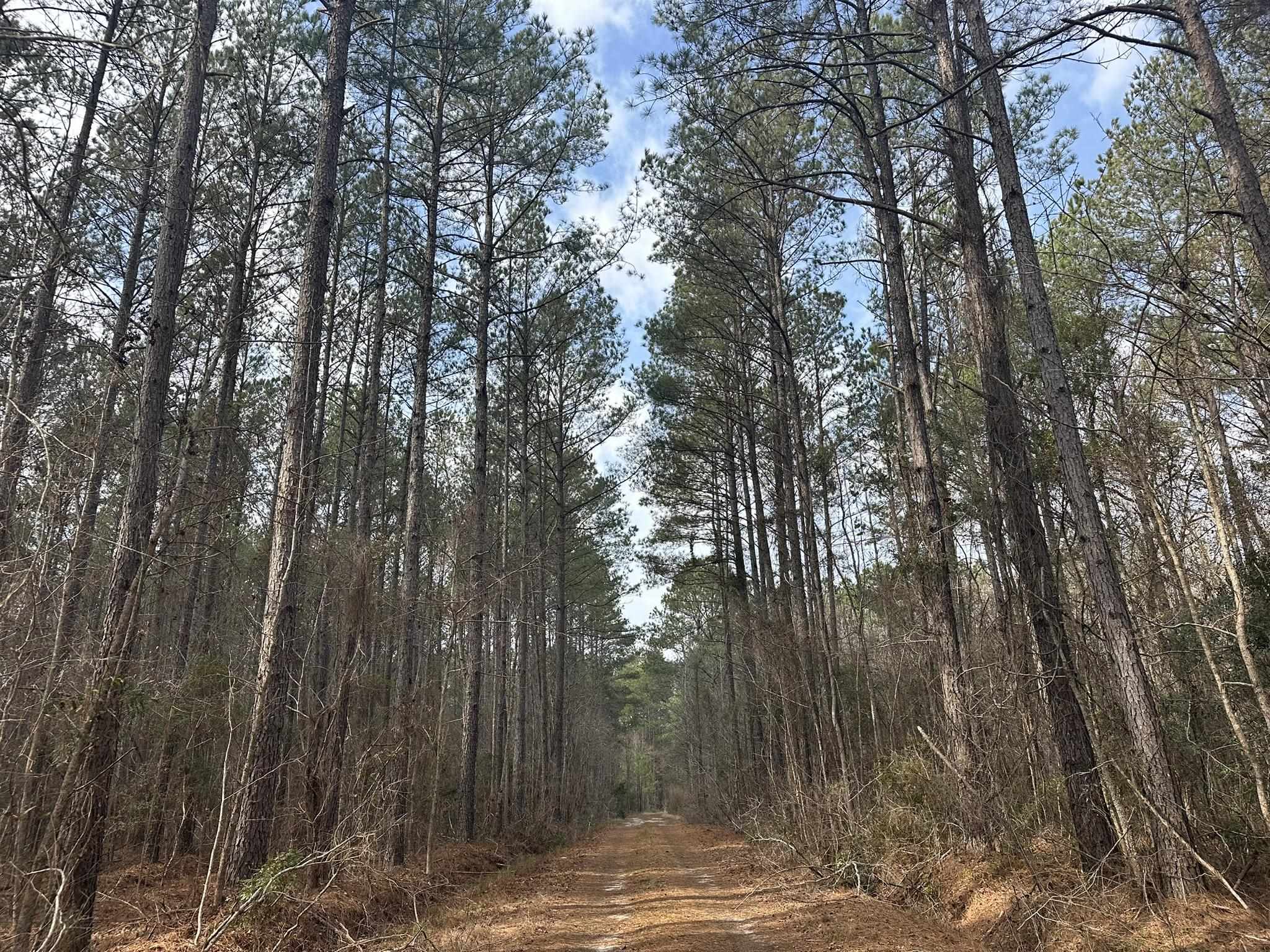 Tbd Tbd Hunters Chapel Road Smoaks, SC 29481 - Photo 24 of 59