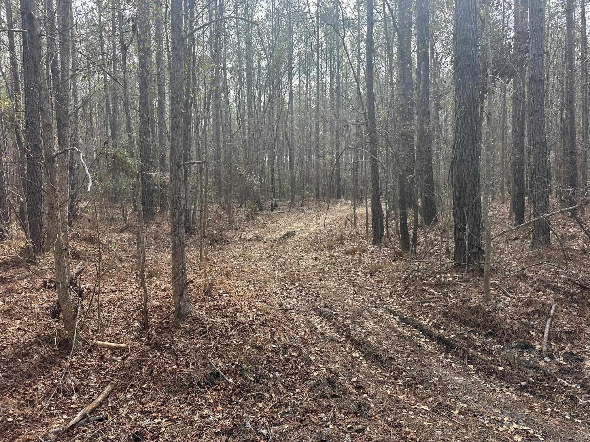 Tbd Tbd Hunters Chapel Road Smoaks, SC 29481 - Photo 25 of 59