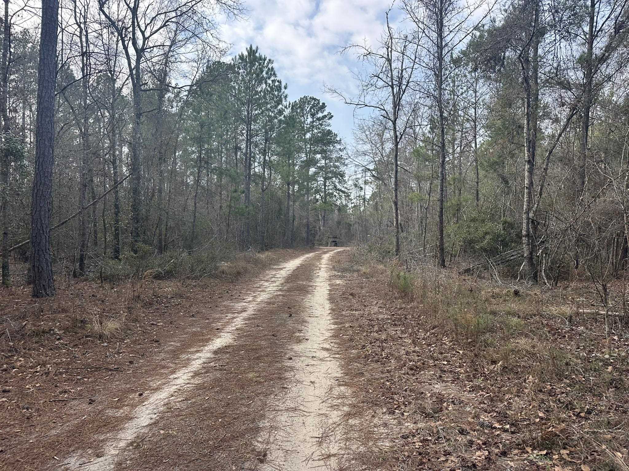 Tbd Tbd Hunters Chapel Road Smoaks, SC 29481 - Photo 27 of 59