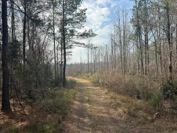 $1,795,000 | Tbd Tbd Hunters Chapel Road, Smoaks, SC 29481