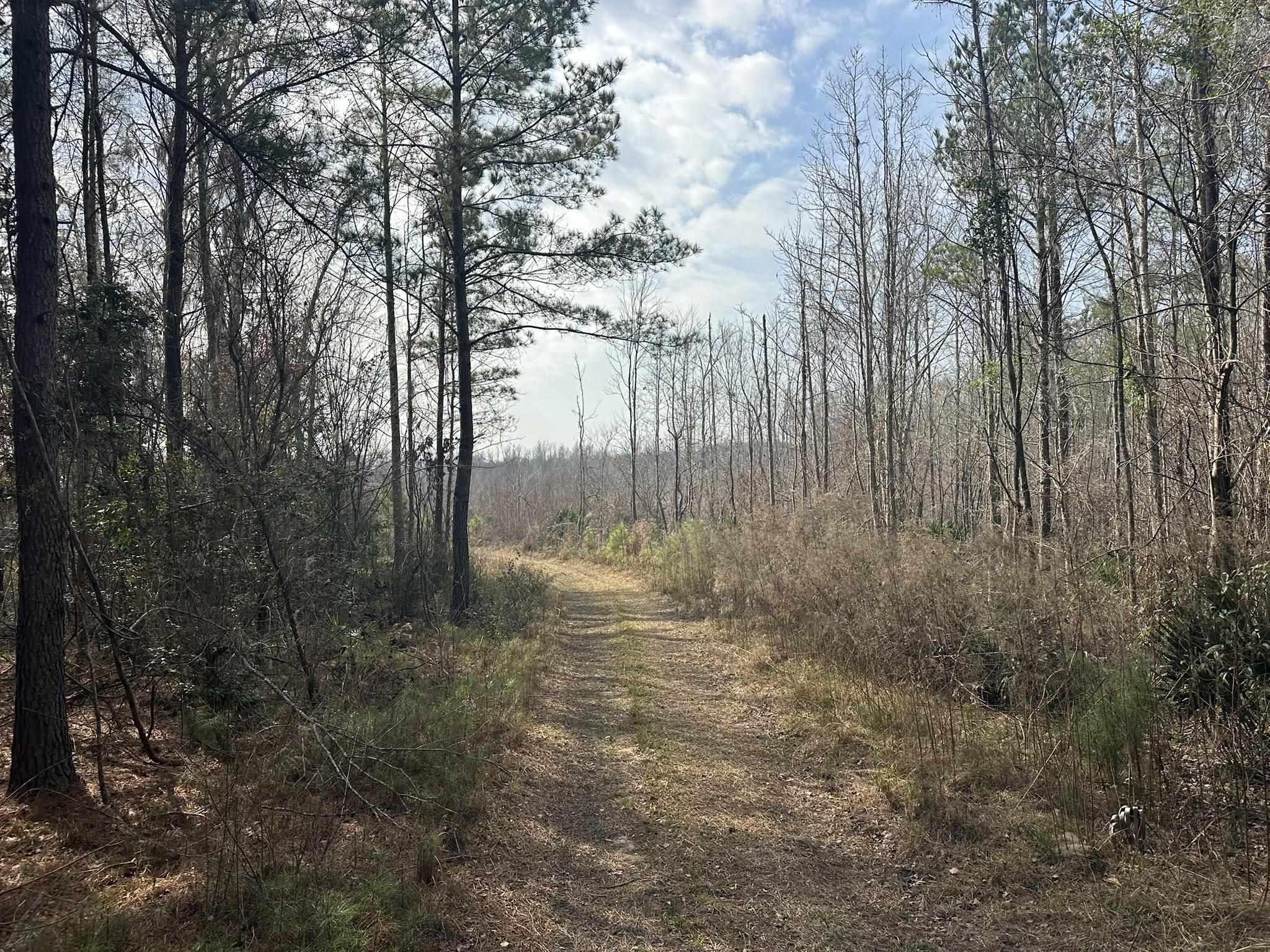 Tbd Tbd Hunters Chapel Road Smoaks, SC 29481 - Photo 28 of 59