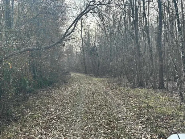 $1,795,000 | Tbd Tbd Hunters Chapel Road, Smoaks, SC 29481