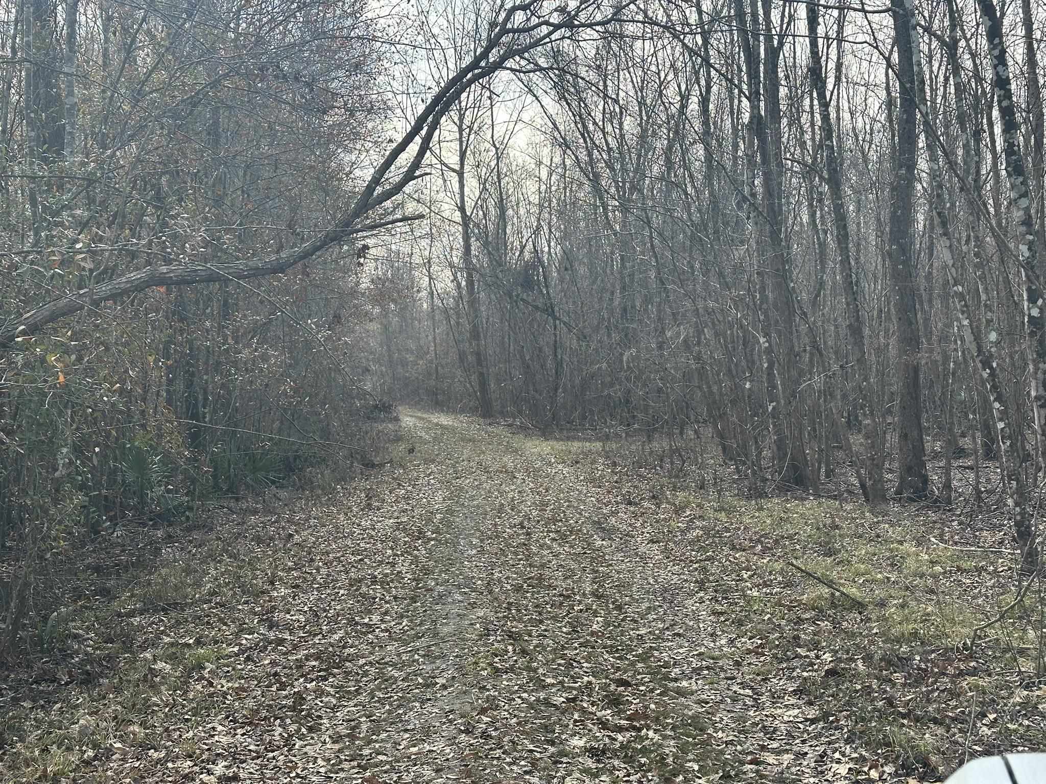 Tbd Tbd Hunters Chapel Road Smoaks, SC 29481 - Photo 29 of 59