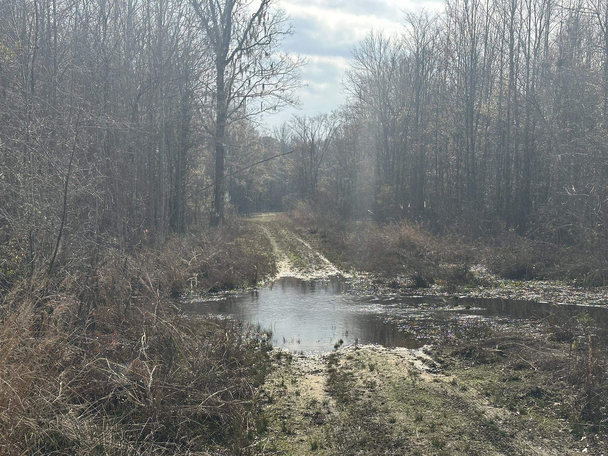 Tbd Tbd Hunters Chapel Road Smoaks, SC 29481 - Photo 30 of 59