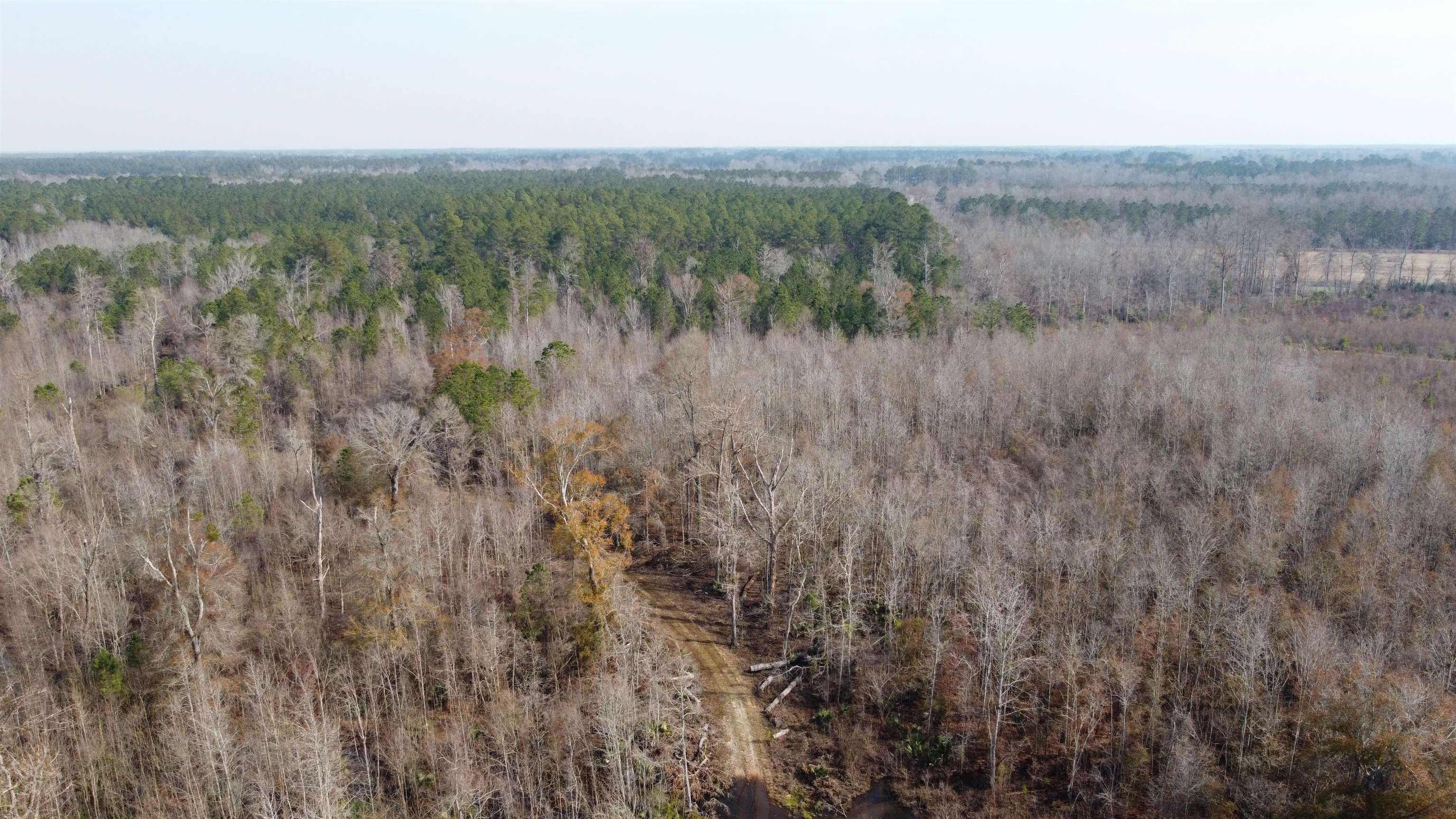 Tbd Tbd Hunters Chapel Road Smoaks, SC 29481 - Photo 3 of 59