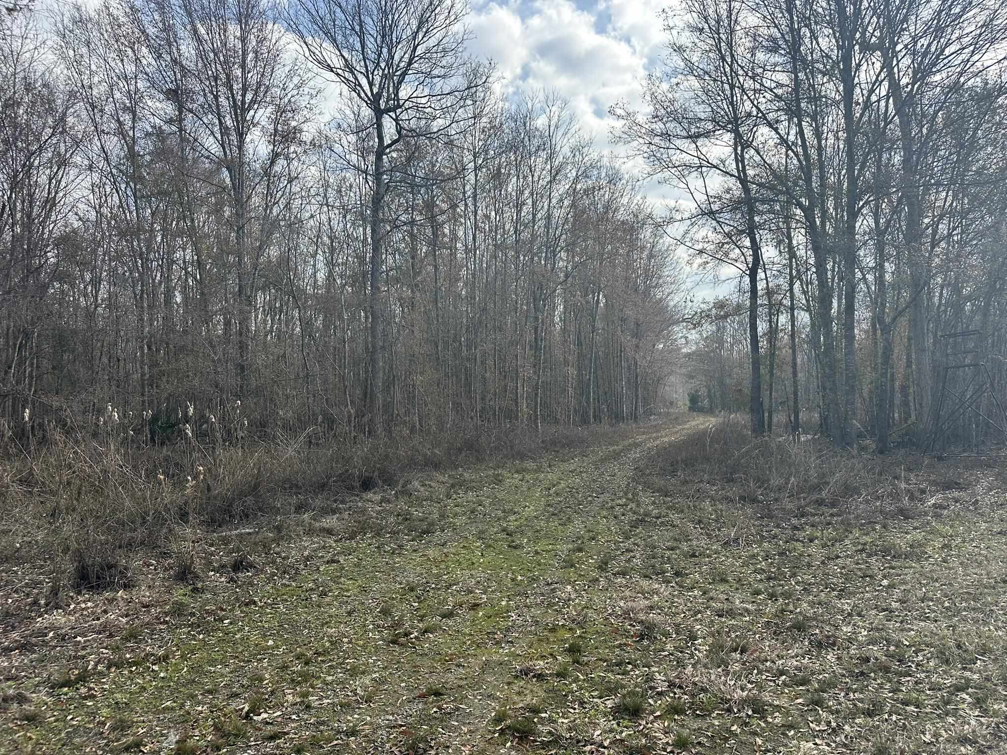 Tbd Tbd Hunters Chapel Road Smoaks, SC 29481 - Photo 32 of 59