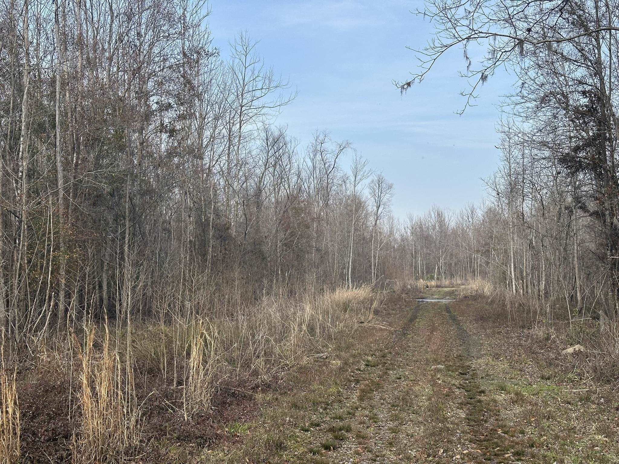 Tbd Tbd Hunters Chapel Road Smoaks, SC 29481 - Photo 33 of 59