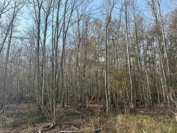 $1,795,000 | Tbd Tbd Hunters Chapel Road, Smoaks, SC 29481