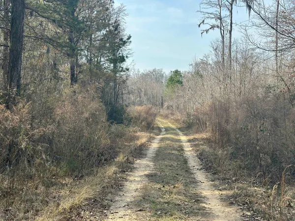 $1,795,000 | Tbd Tbd Hunters Chapel Road, Smoaks, SC 29481