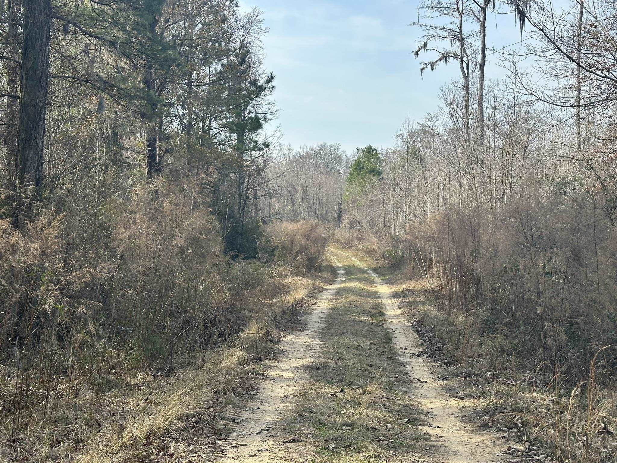 Tbd Tbd Hunters Chapel Road Smoaks, SC 29481 - Photo 36 of 59