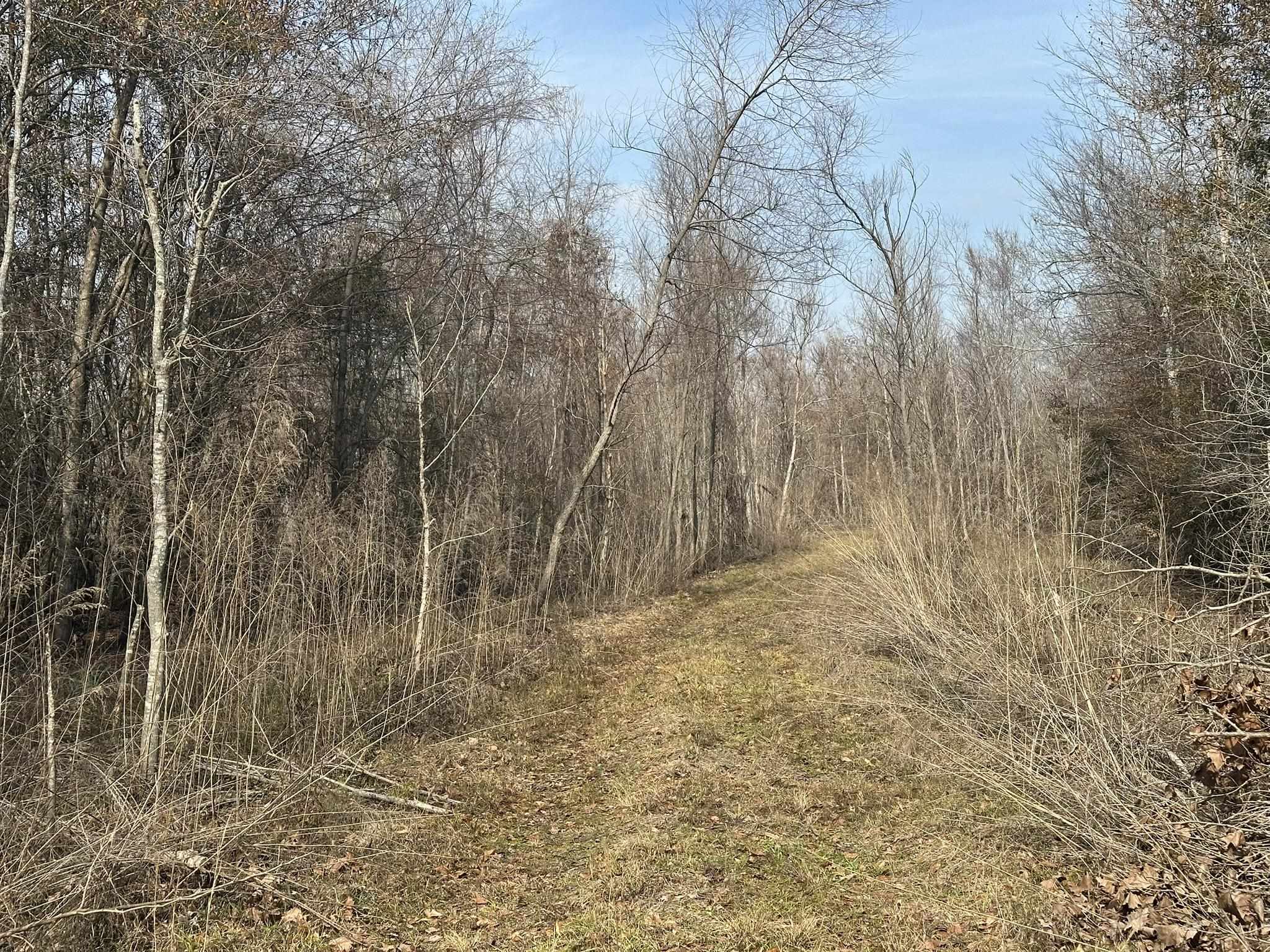 Tbd Tbd Hunters Chapel Road Smoaks, SC 29481 - Photo 38 of 59