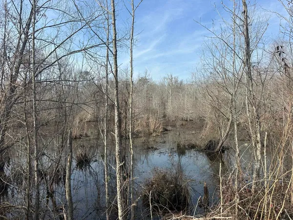 $1,795,000 | Tbd Tbd Hunters Chapel Road, Smoaks, SC 29481