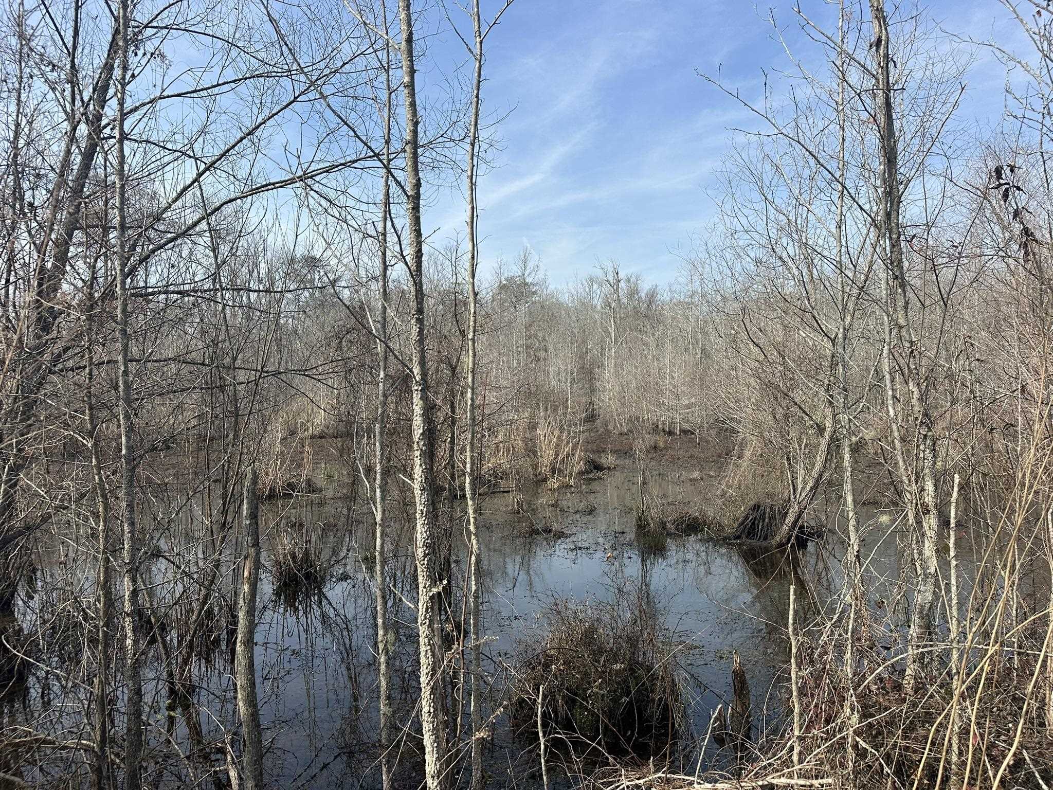 Tbd Tbd Hunters Chapel Road Smoaks, SC 29481 - Photo 39 of 59