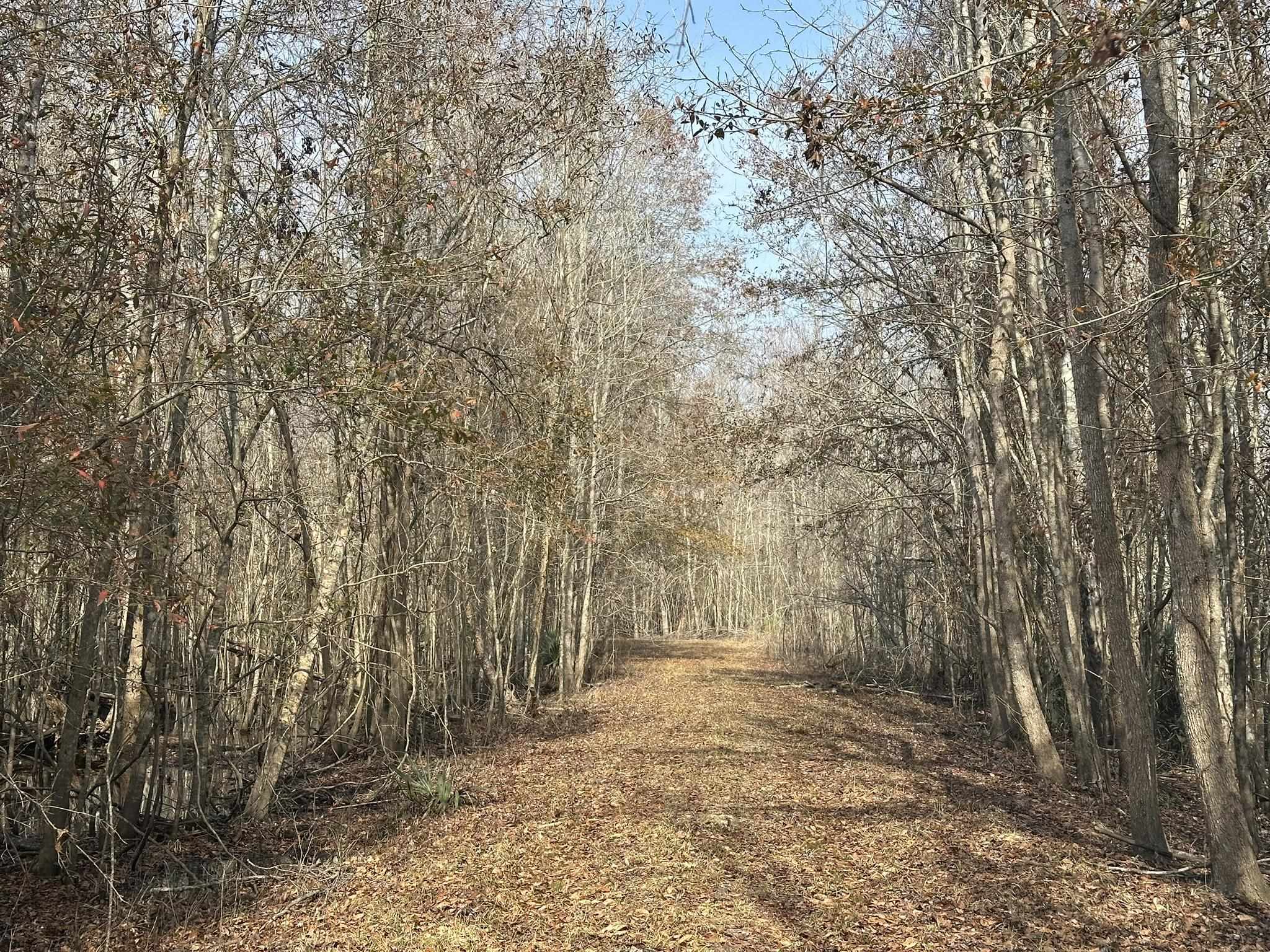 Tbd Tbd Hunters Chapel Road Smoaks, SC 29481 - Photo 40 of 59