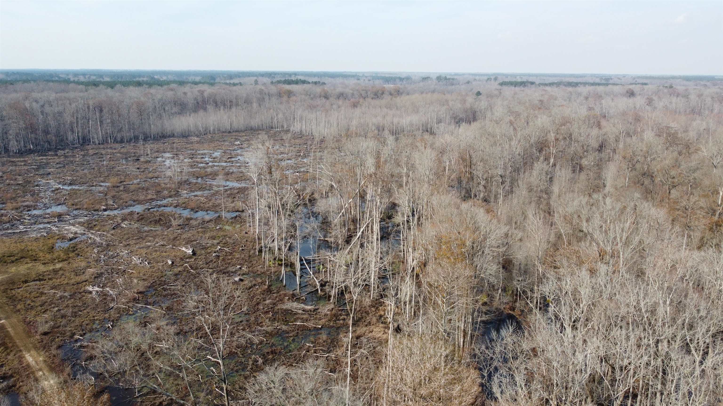 Tbd Tbd Hunters Chapel Road Smoaks, SC 29481 - Photo 4 of 59