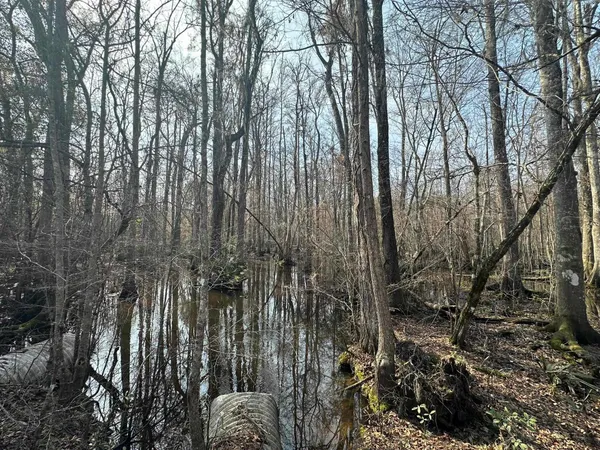 $1,795,000 | Tbd Tbd Hunters Chapel Road, Smoaks, SC 29481