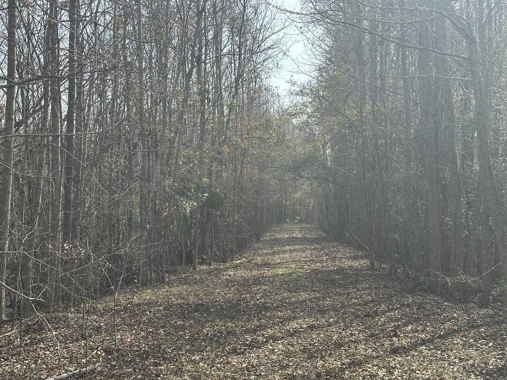 Tbd Tbd Hunters Chapel Road Smoaks, SC 29481 - Photo 43 of 59