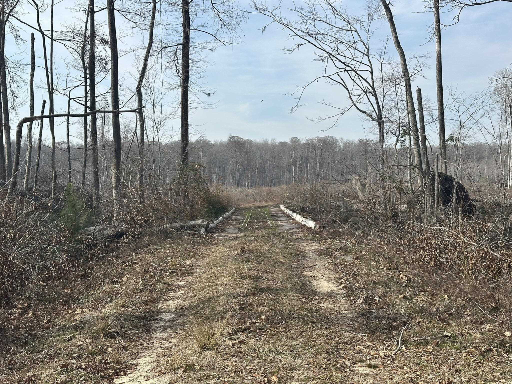 Tbd Tbd Hunters Chapel Road Smoaks, SC 29481 - Photo 44 of 59