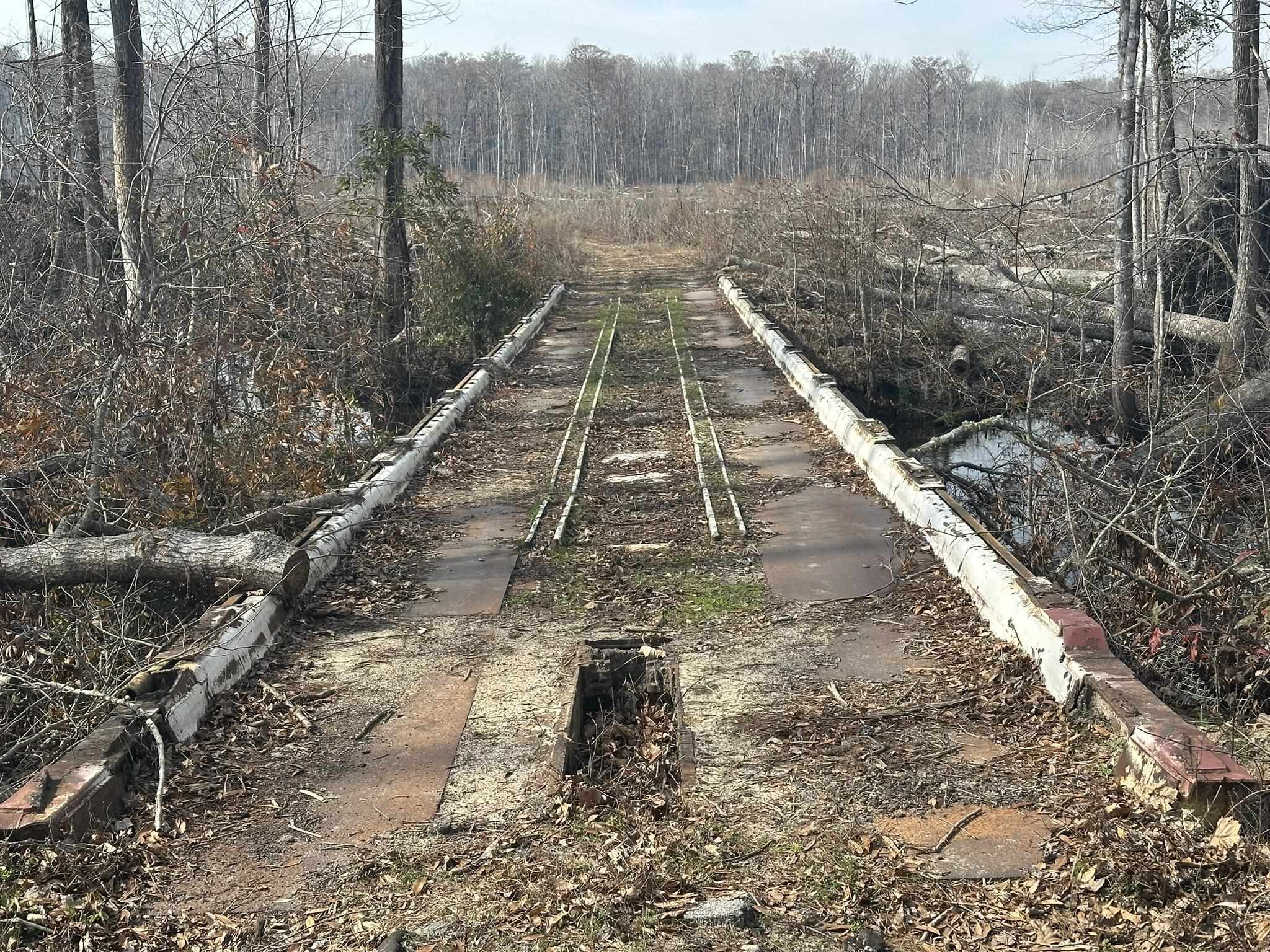 Tbd Tbd Hunters Chapel Road Smoaks, SC 29481 - Photo 45 of 59