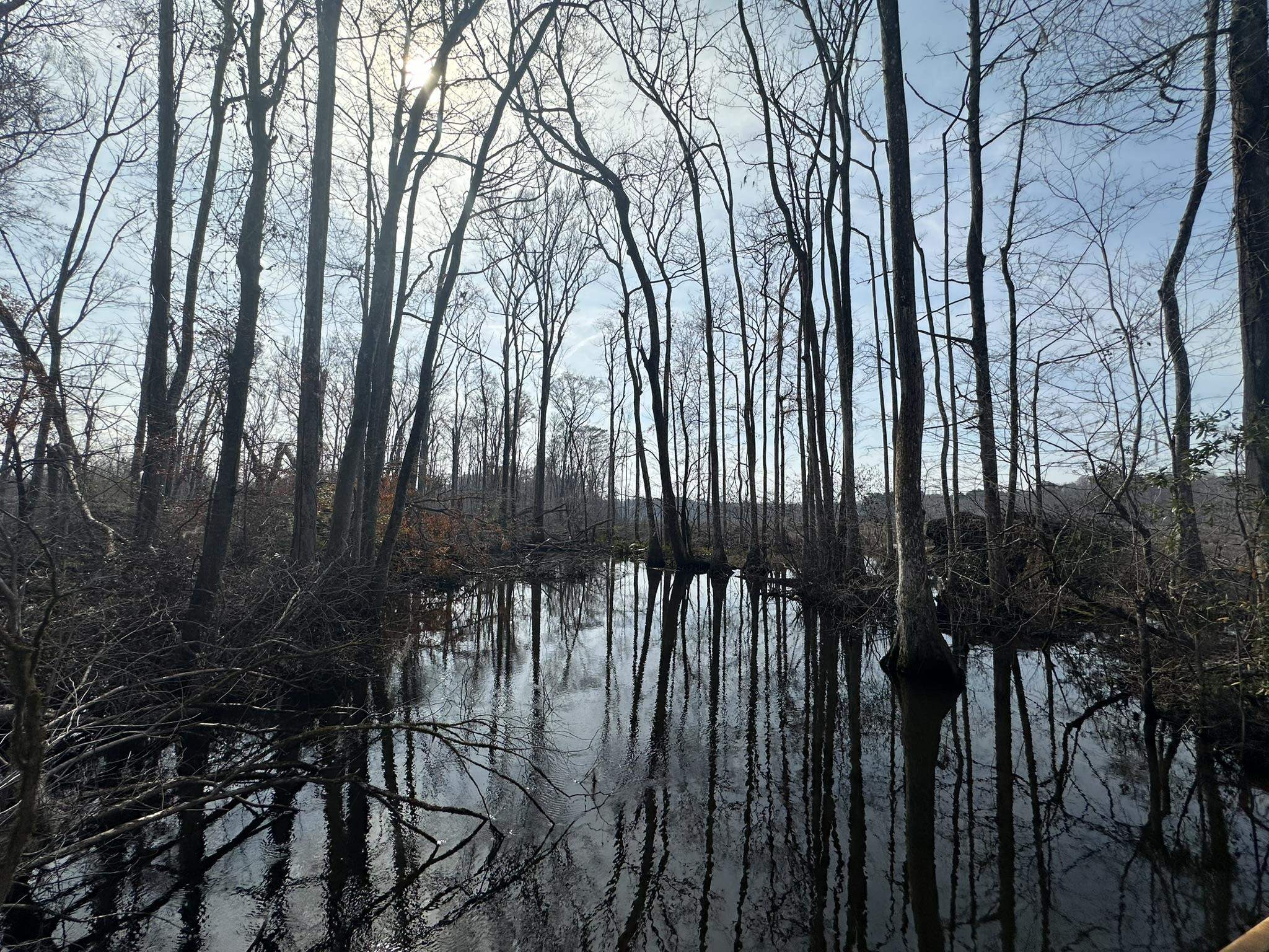 Tbd Tbd Hunters Chapel Road Smoaks, SC 29481 - Photo 47 of 59