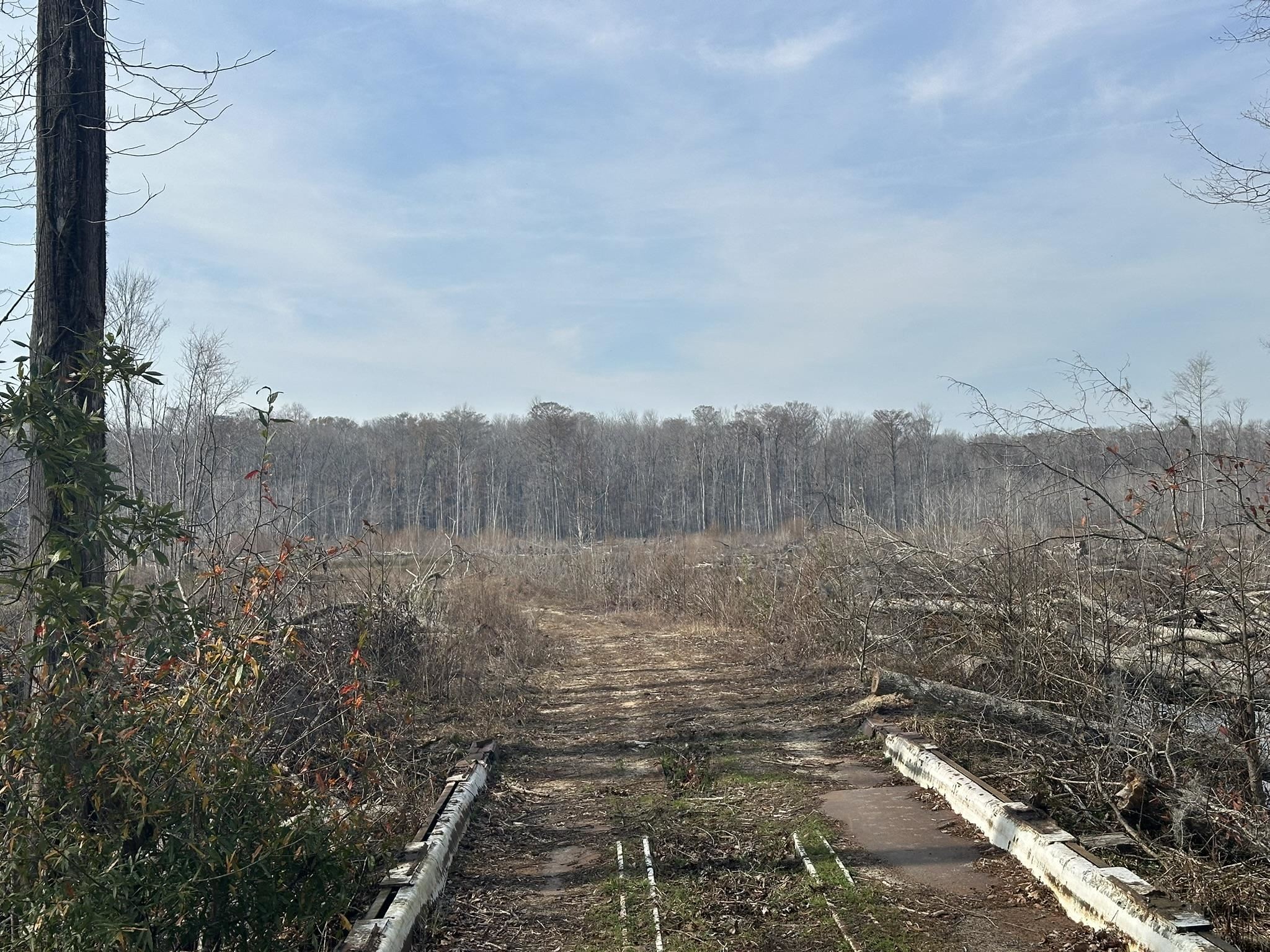 Tbd Tbd Hunters Chapel Road Smoaks, SC 29481 - Photo 48 of 59