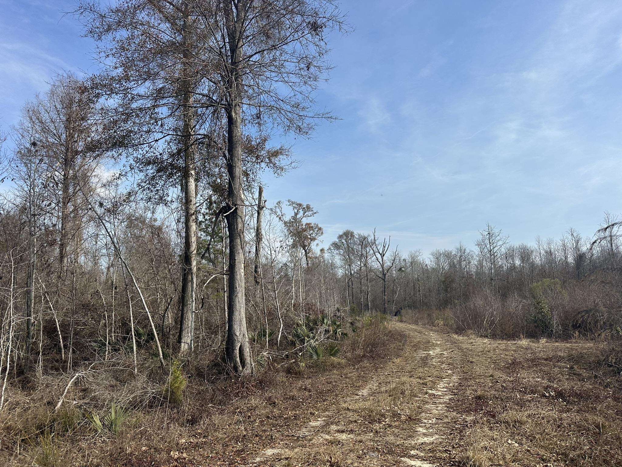 Tbd Tbd Hunters Chapel Road Smoaks, SC 29481 - Photo 50 of 59