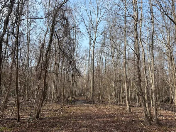 $1,795,000 | Tbd Tbd Hunters Chapel Road, Smoaks, SC 29481