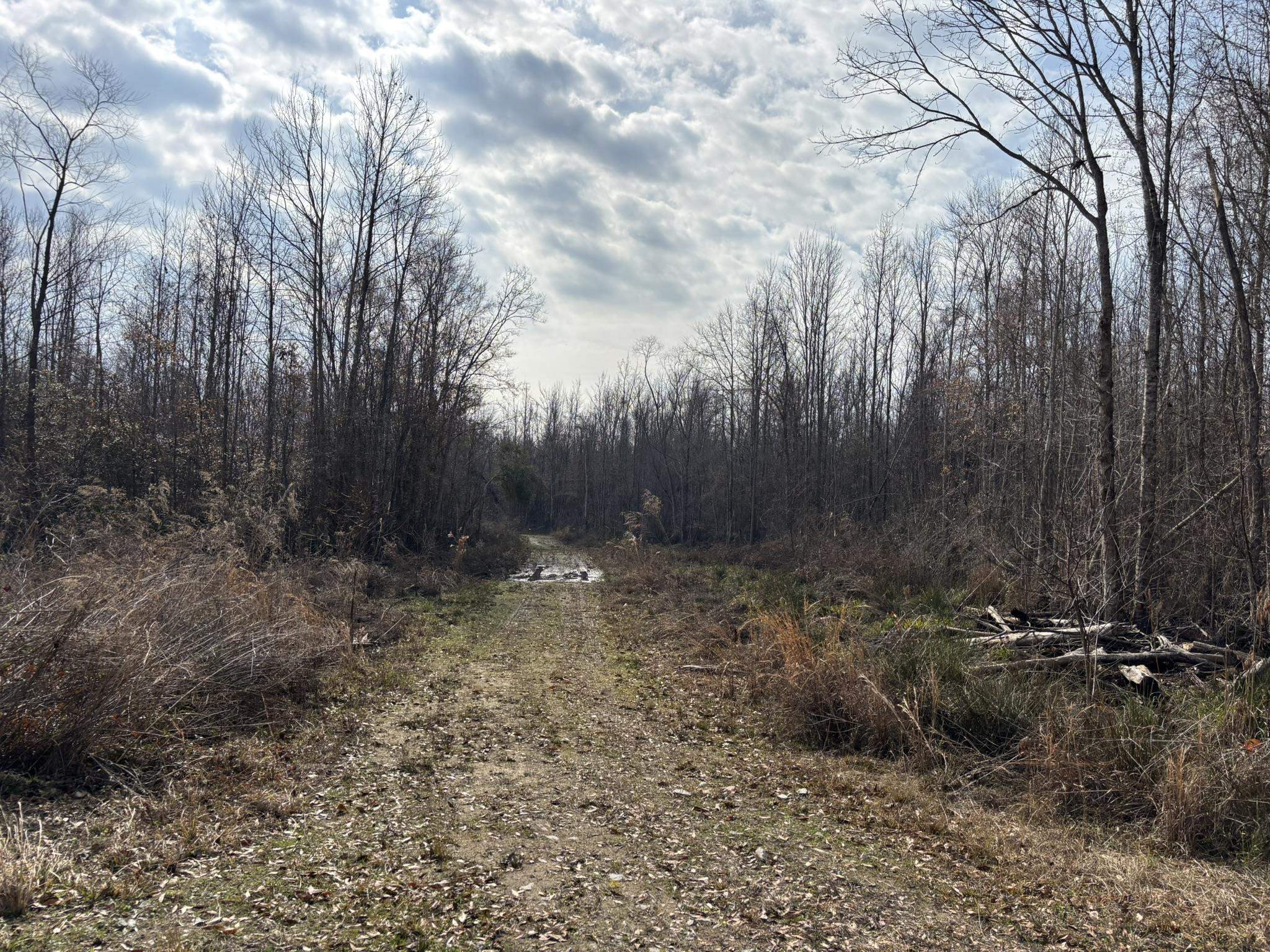 Tbd Tbd Hunters Chapel Road Smoaks, SC 29481 - Photo 52 of 59