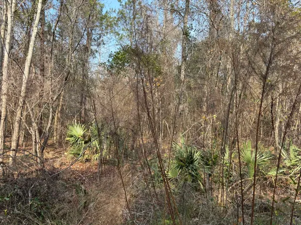 $1,795,000 | Tbd Tbd Hunters Chapel Road, Smoaks, SC 29481