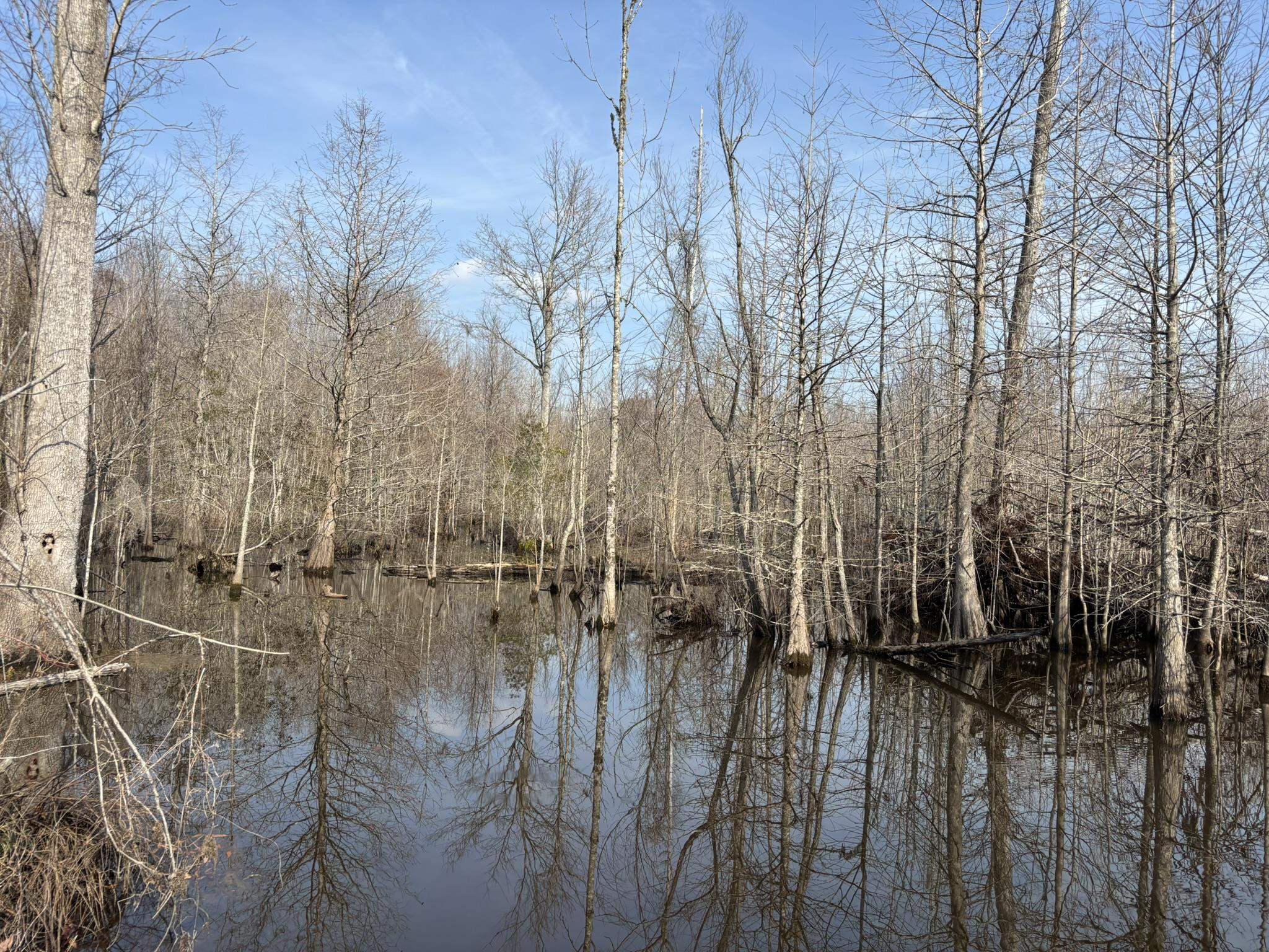 Tbd Tbd Hunters Chapel Road Smoaks, SC 29481 - Photo 55 of 59