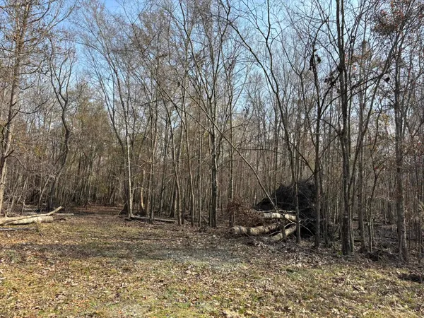 $1,795,000 | Tbd Tbd Hunters Chapel Road, Smoaks, SC 29481