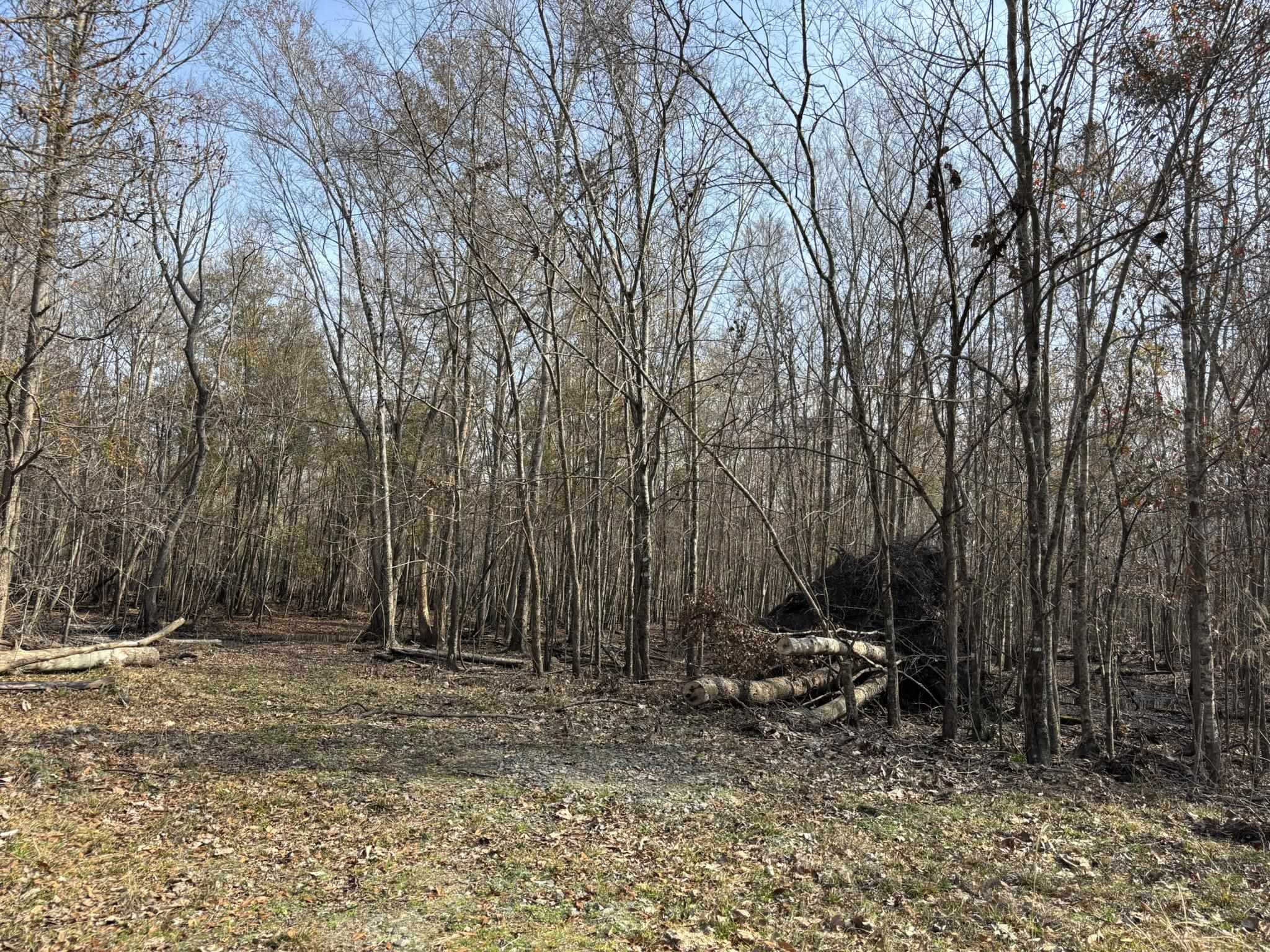 Tbd Tbd Hunters Chapel Road Smoaks, SC 29481 - Photo 56 of 59