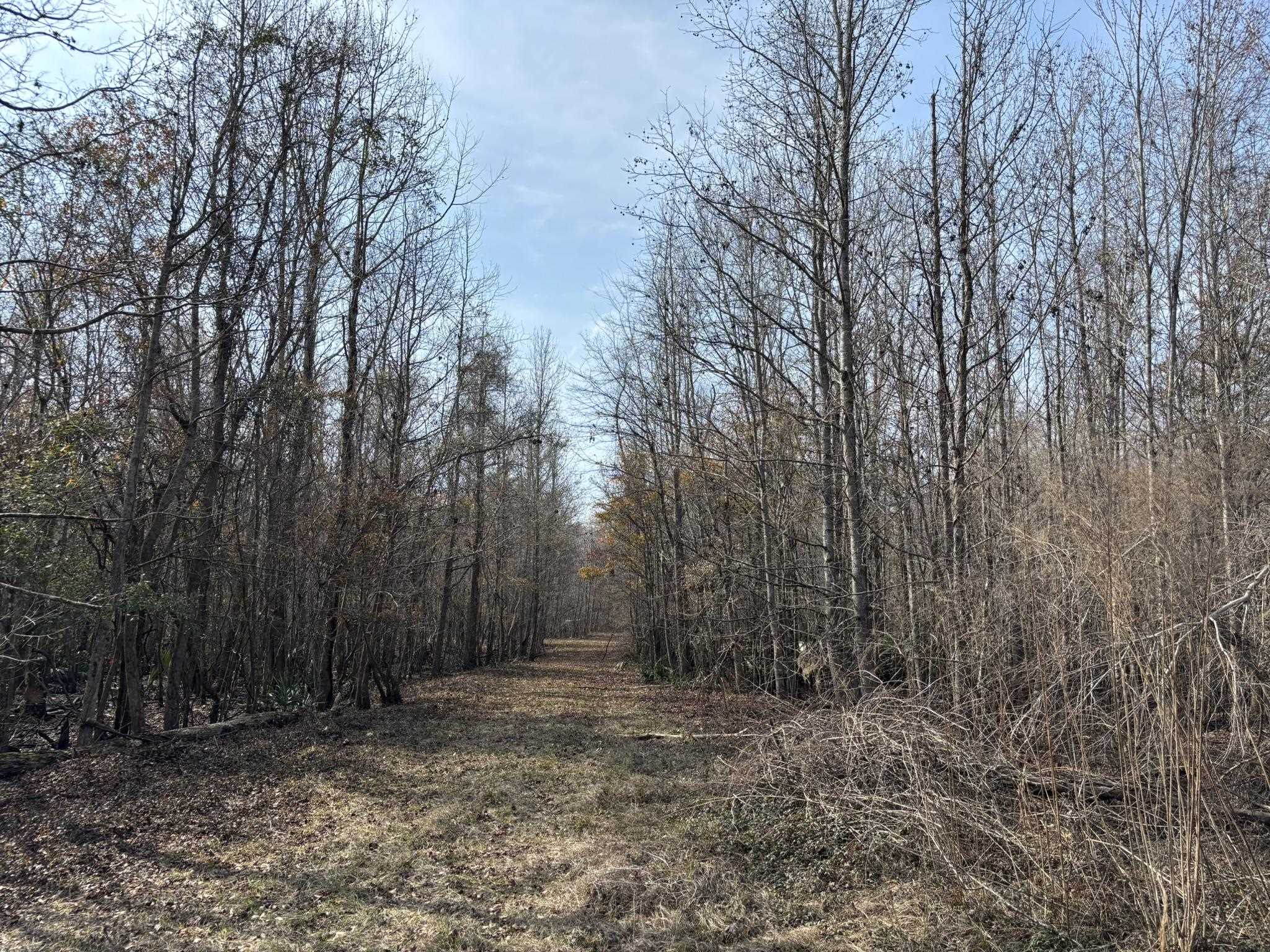 Tbd Tbd Hunters Chapel Road Smoaks, SC 29481 - Photo 58 of 59