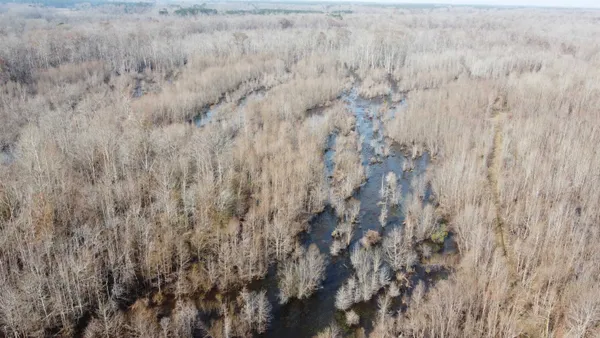 $1,795,000 | Tbd Tbd Hunters Chapel Road, Smoaks, SC 29481