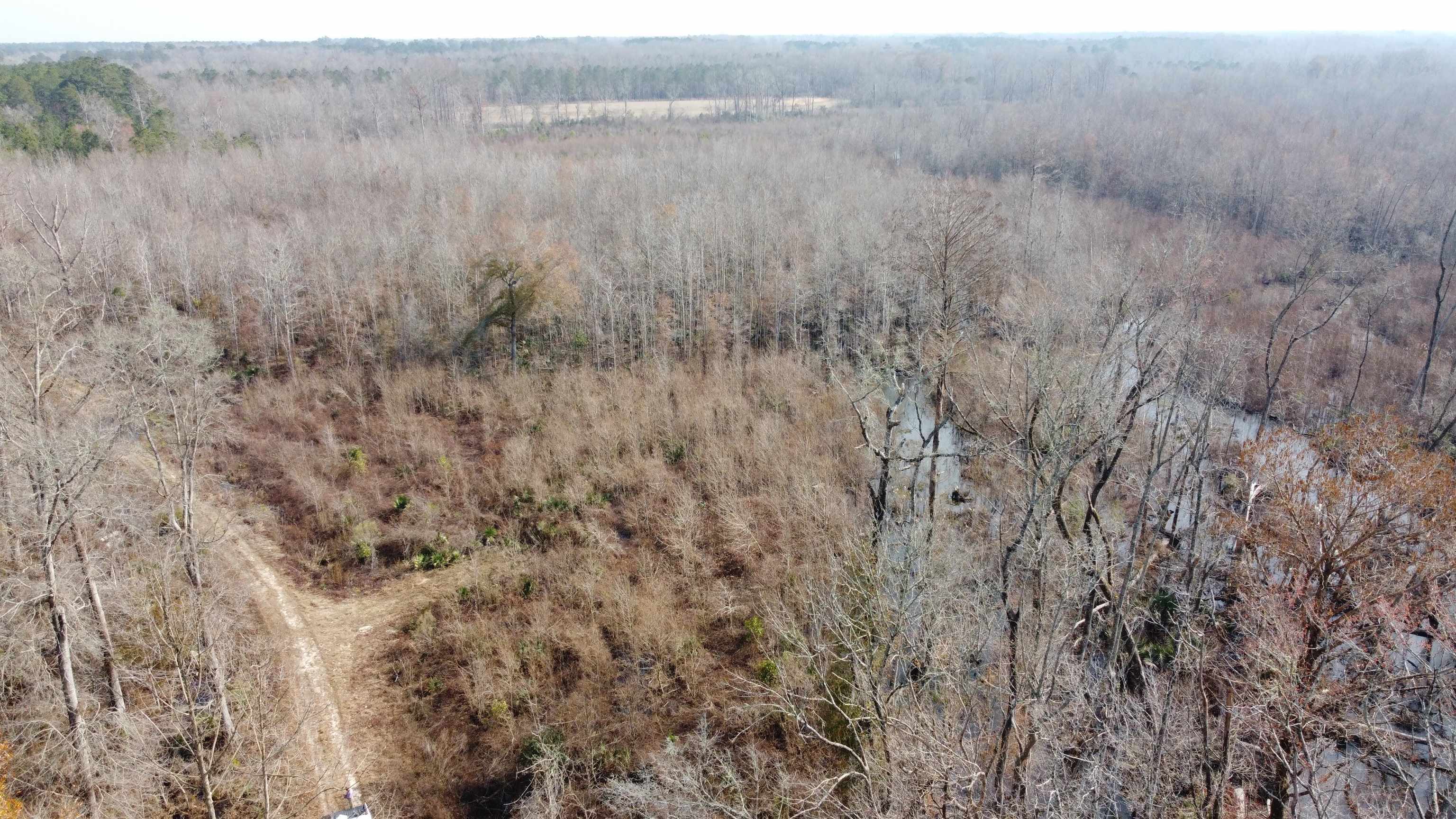 Tbd Tbd Hunters Chapel Road Smoaks, SC 29481 - Photo 7 of 59