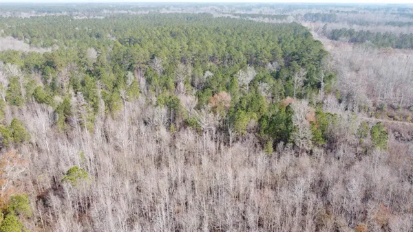 $1,795,000 | Tbd Tbd Hunters Chapel Road, Smoaks, SC 29481