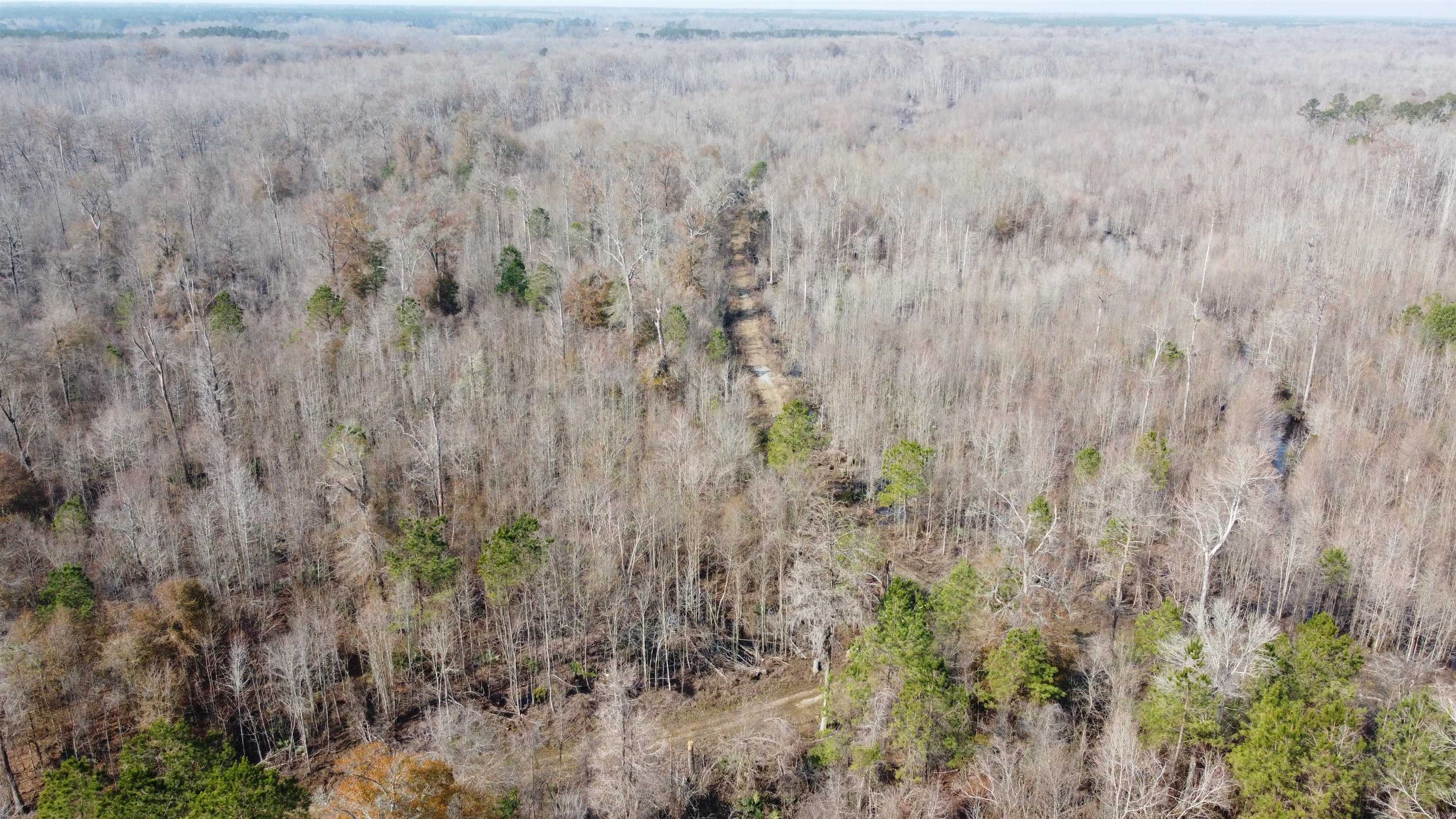 Tbd Tbd Hunters Chapel Road Smoaks, SC 29481 - Photo 9 of 59