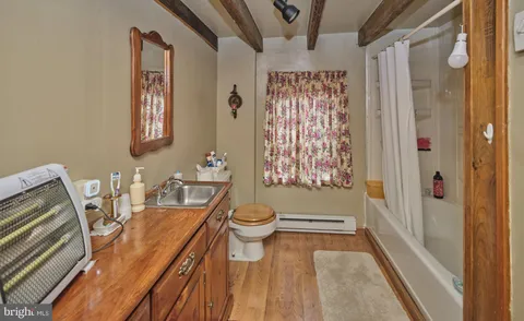 a view of a field with a tree