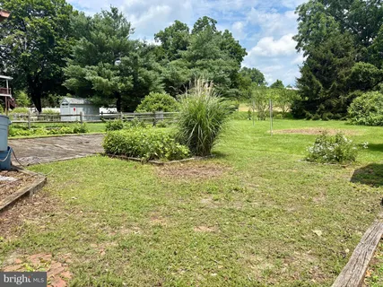 a view of a park with a tree