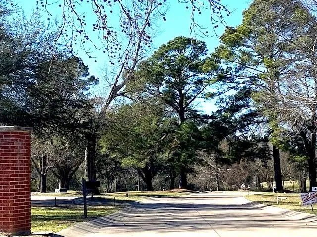 a view of a trees in front of a house