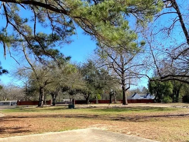 a view of a park with large trees